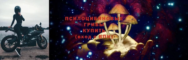 эйфоретик Заводоуковск