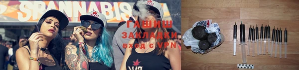 PSILOCYBIN Ельня