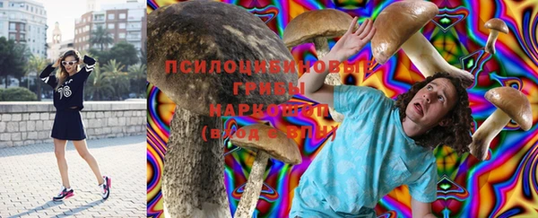 PSILOCYBIN Ельня