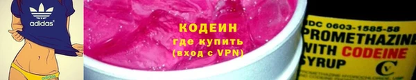 PSILOCYBIN Ельня