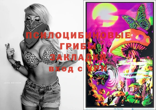 PSILOCYBIN Ельня