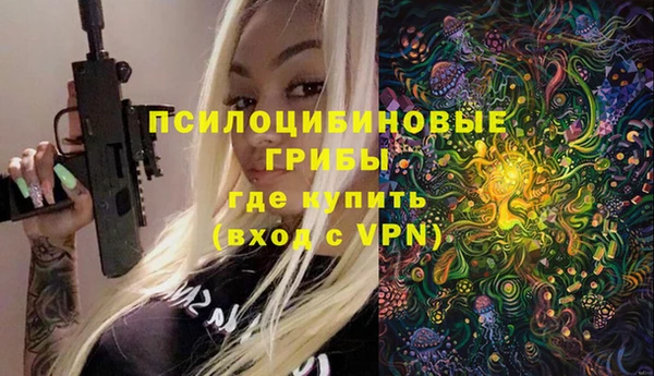 эйфоретик Заводоуковск