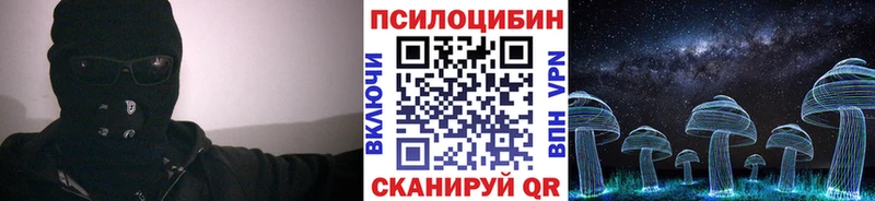 Купить  Георгиевск  Галлюциногенные грибы Psilocybine cubensis 